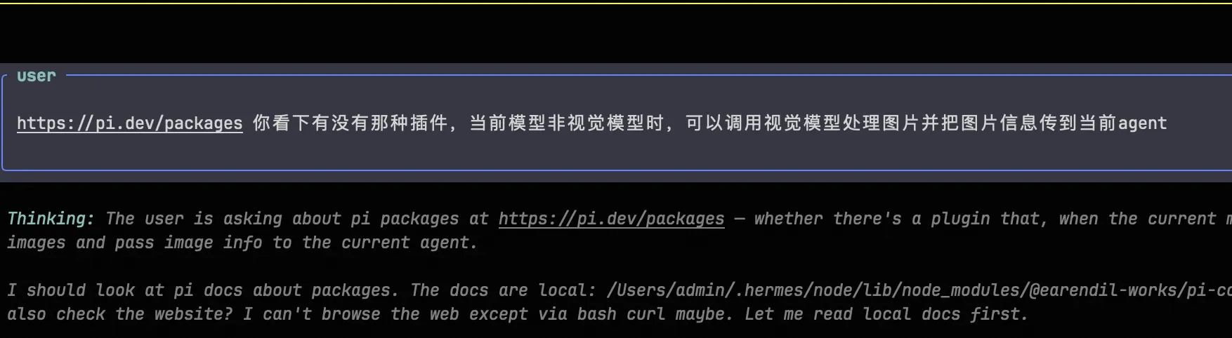 终端中向Pi-Agent询问插件情况的命令记录
